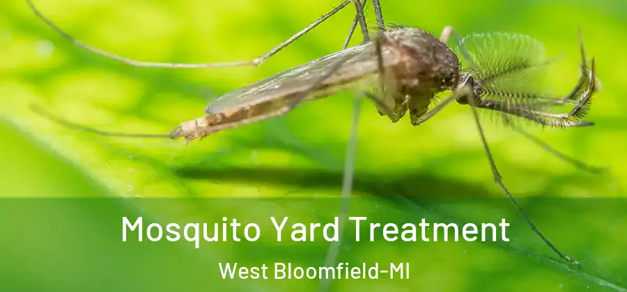 Mosquito Yard Treatment West Bloomfield-MI