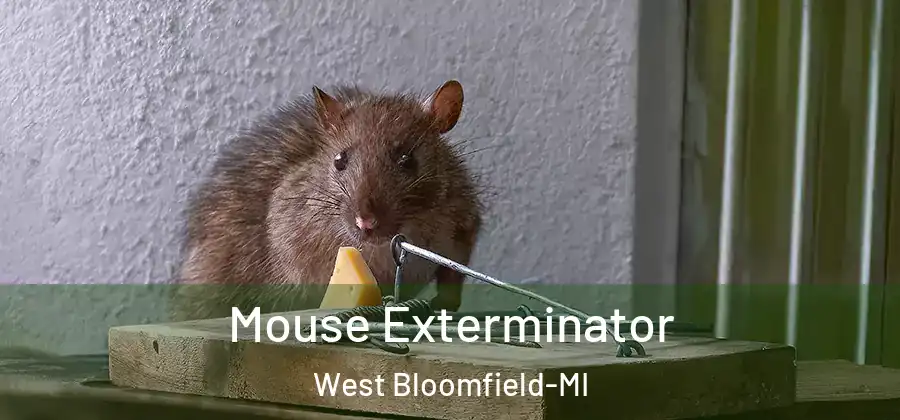 Mouse Exterminator West Bloomfield-MI