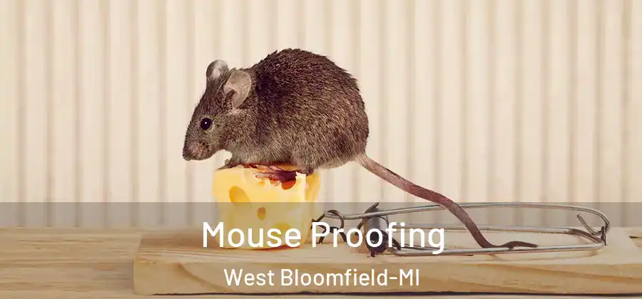Mouse Proofing West Bloomfield-MI
