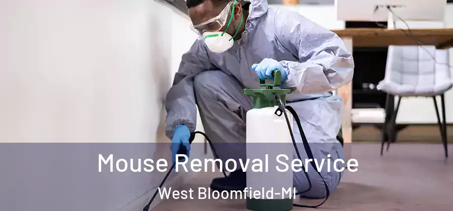 Mouse Removal Service West Bloomfield-MI