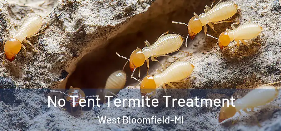 No Tent Termite Treatment West Bloomfield-MI