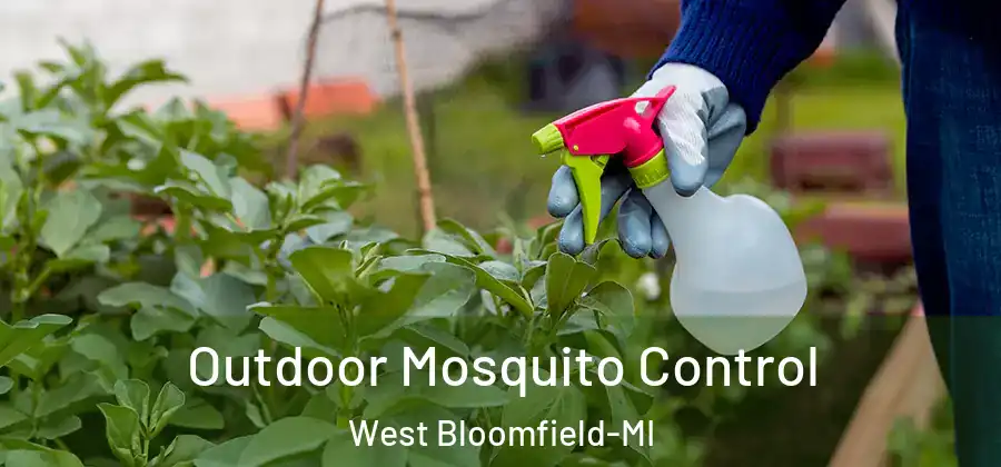 Outdoor Mosquito Control West Bloomfield-MI