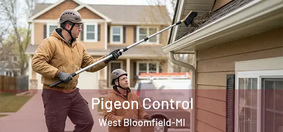 Pigeon Control West Bloomfield-MI