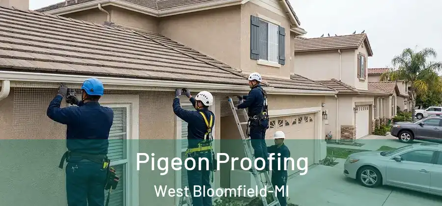 Pigeon Proofing West Bloomfield-MI