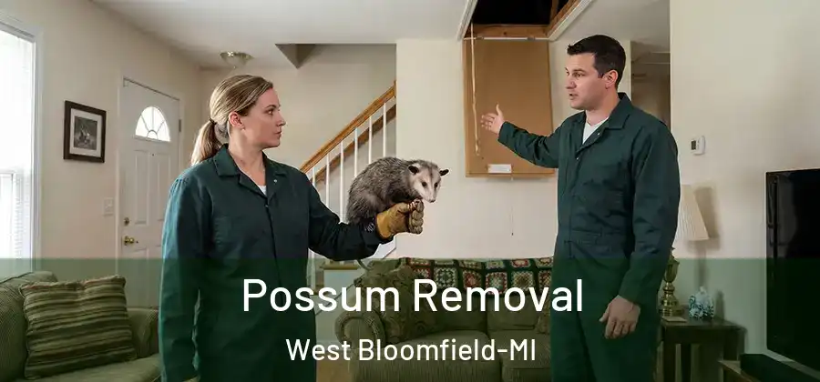 Possum Removal West Bloomfield-MI