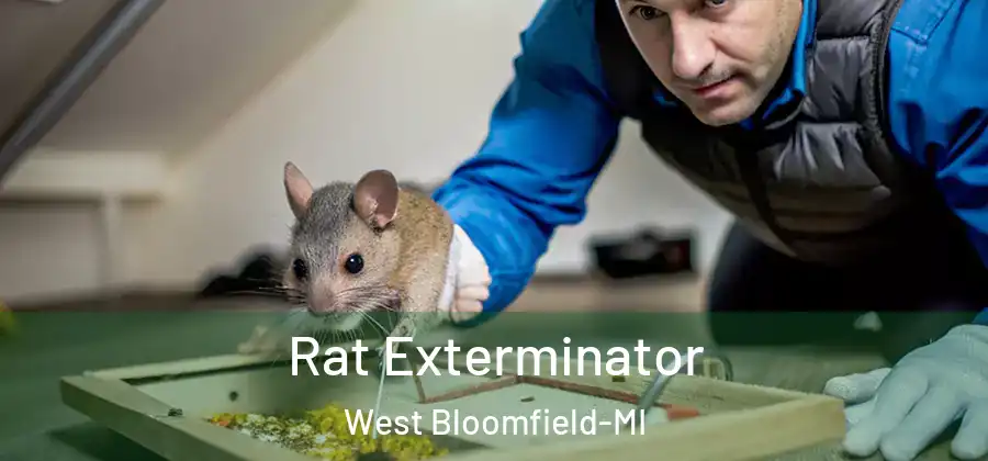  Rat Exterminator West Bloomfield-MI
