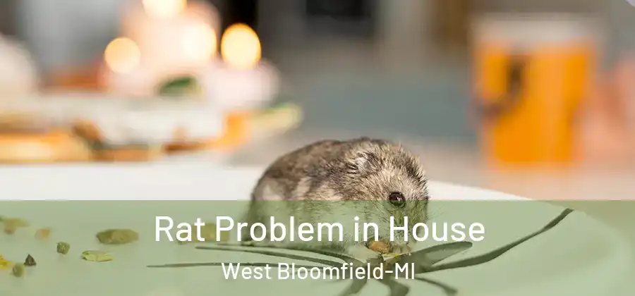 Rat Problem in House West Bloomfield-MI