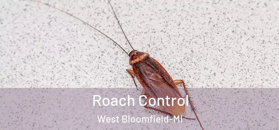  Roach Control West Bloomfield-MI
