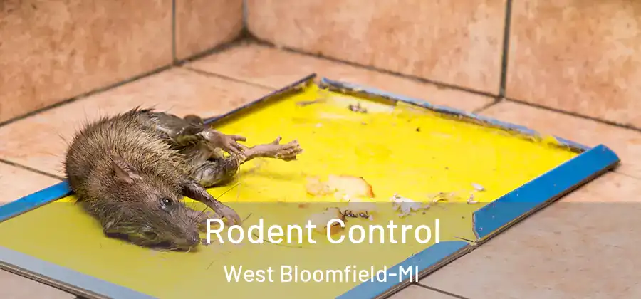  Rodent Control West Bloomfield-MI