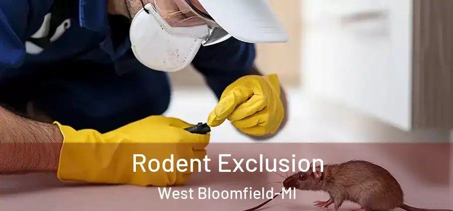 Rodent Exclusion West Bloomfield-MI