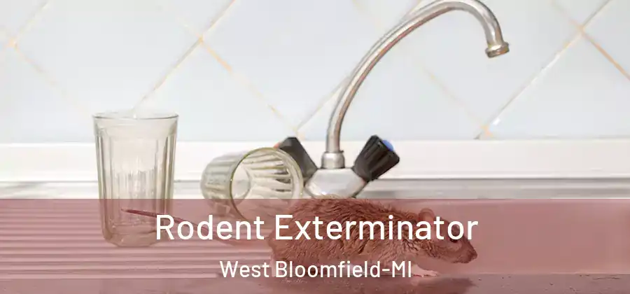 Rodent Exterminator West Bloomfield-MI