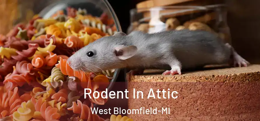 Rodent In Attic West Bloomfield-MI
