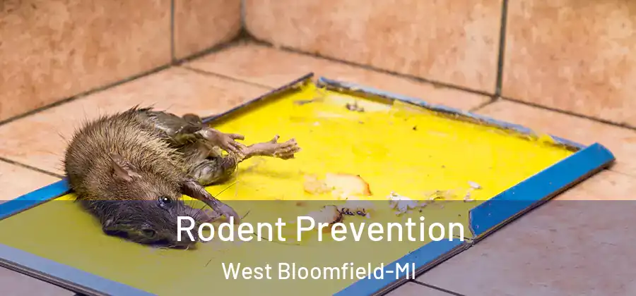 Rodent Prevention West Bloomfield-MI
