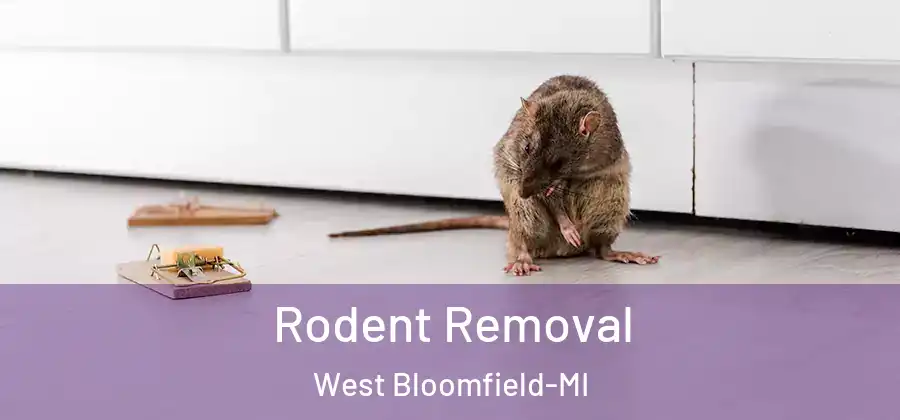 Rodent Removal West Bloomfield-MI