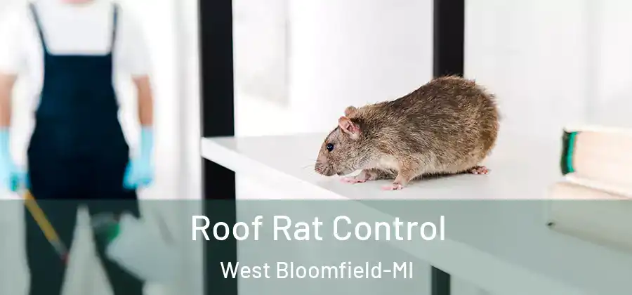 Roof Rat Control West Bloomfield-MI