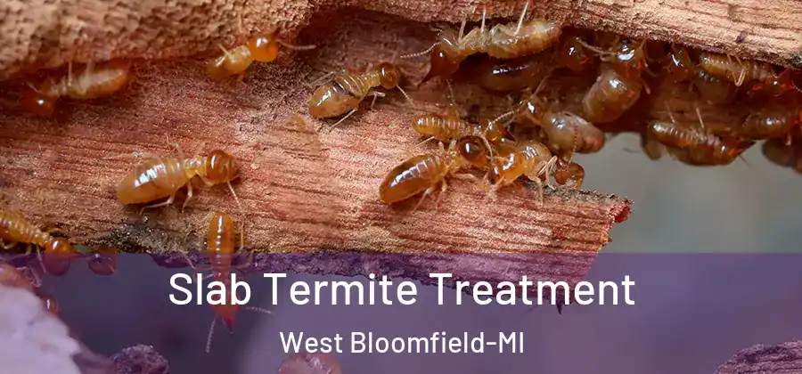 Slab Termite Treatment West Bloomfield-MI
