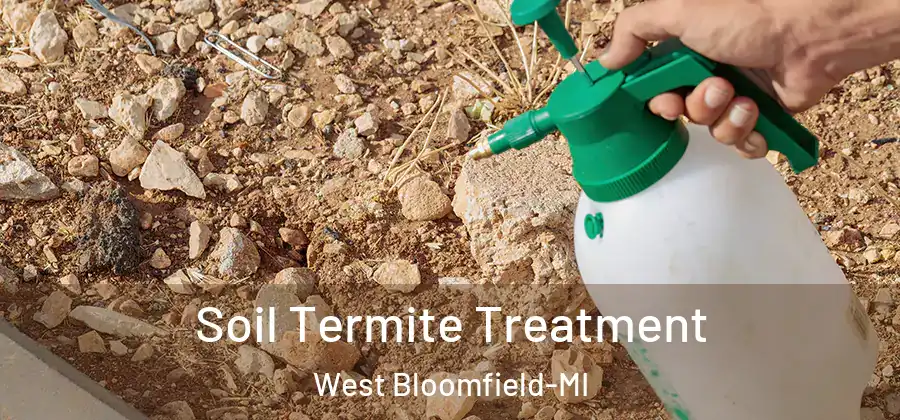 Soil Termite Treatment West Bloomfield-MI
