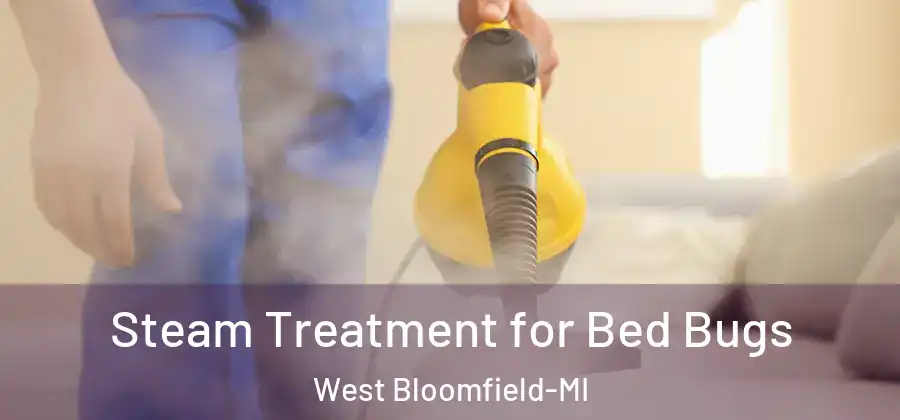 Steam Treatment for Bed Bugs West Bloomfield-MI