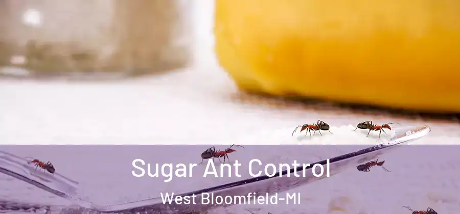 Sugar Ant Control West Bloomfield-MI