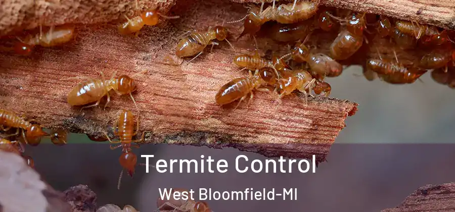 Termite Control West Bloomfield-MI