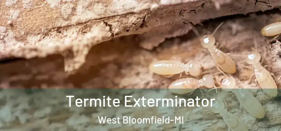Termite Exterminator West Bloomfield-MI