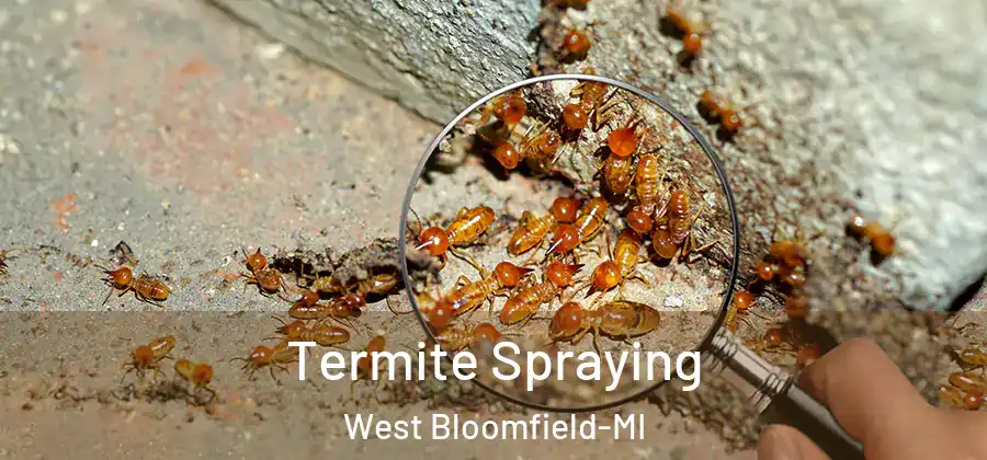  Termite Spraying West Bloomfield-MI