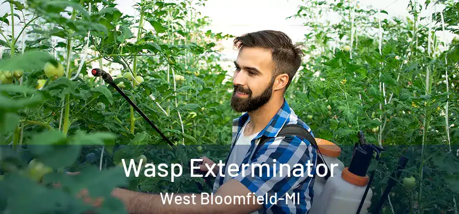 Wasp Exterminator West Bloomfield-MI