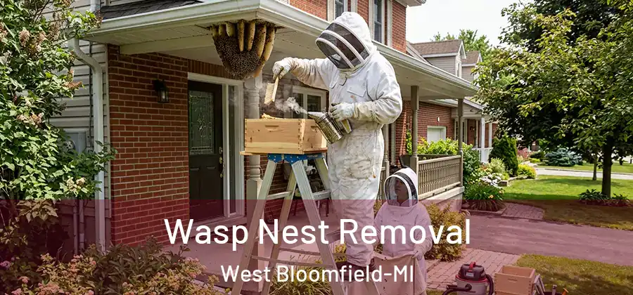 Wasp Nest Removal West Bloomfield-MI