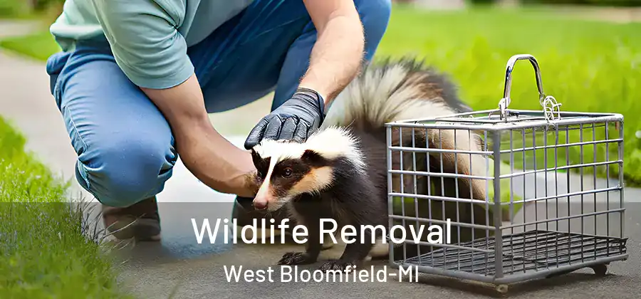 Wildlife Removal West Bloomfield-MI