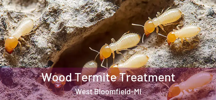 Wood Termite Treatment West Bloomfield-MI