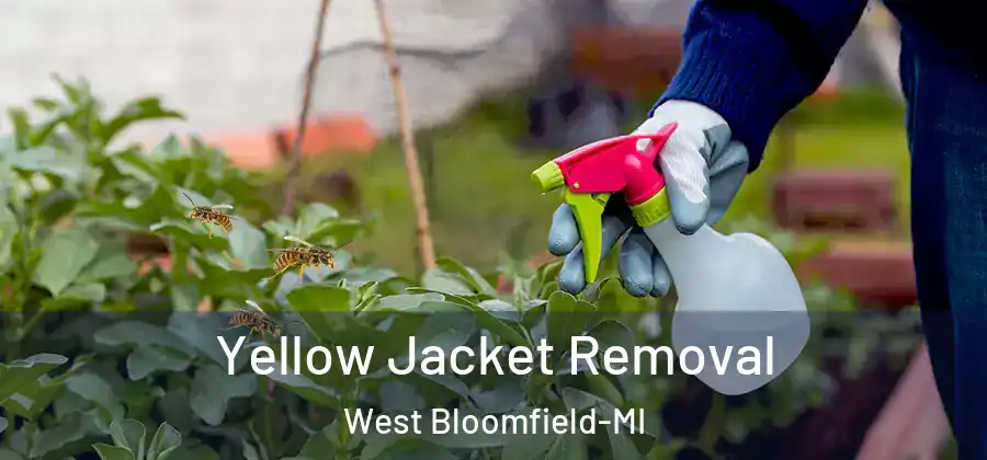 Yellow Jacket Removal West Bloomfield-MI